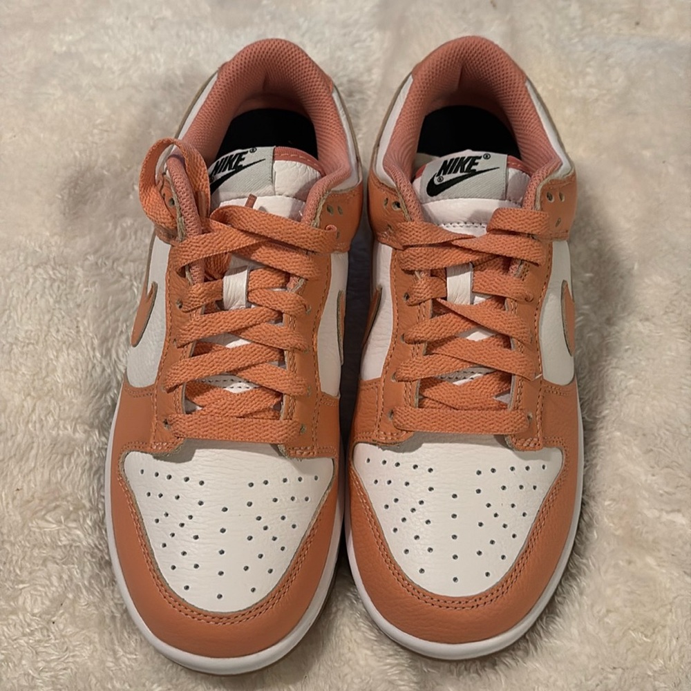 Brand New Nike Dunk Low